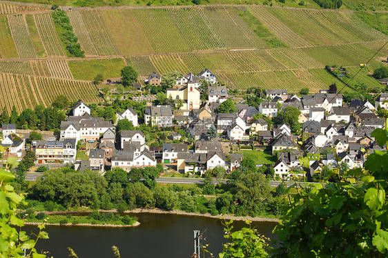 汉堡和摩苏尔村庄产区庄园河流房子葡萄园种植者葡萄房屋进货图片