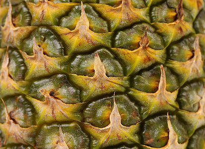 菠萝果的背景 快关门甜点饮食松树营养菠萝热带异国情调黄色食物图片