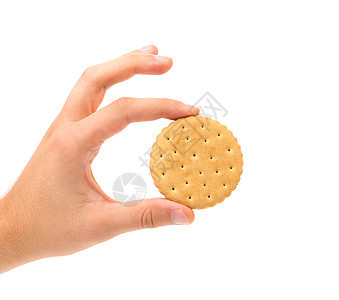 手握着饼干饼干加填充白色食物糕点宏观圆圈面包小吃甜点奶油水平图片