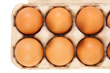 鸡蛋盒中的性褐蛋图片