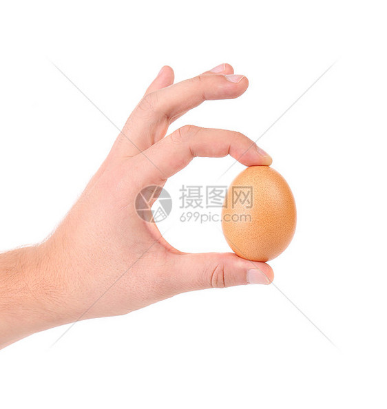 人手握着棕色精细鸡蛋母鸡健康包装手指检查生产饮食营养食物农场图片