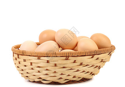 白背景上孤立的鸡蛋收集眼泪农场季节椭圆形剪辑收藏食物美食早餐母鸡背景图片