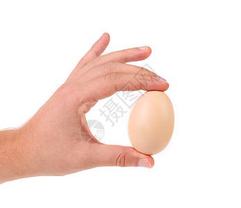 人手握着棕色精细鸡蛋贮存食物营养包装农场手指母鸡圆形白色检查图片