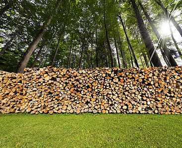 森林中被切碎的木柴林业国家壁炉松树活力能量树干柴堆木材库存图片