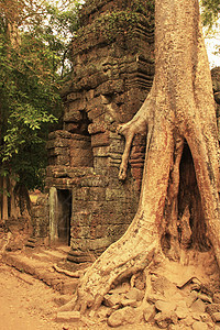 Tapromh寺庙 吴哥地区 暹粒古董木头热带建筑纪念碑旅游建筑学遗产废墟舞会图片