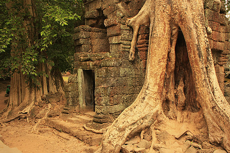 Preah Khan寺庙 吴哥地区 暹粒世界石头圣训热带植物古董地标遗产高棉语建筑图片