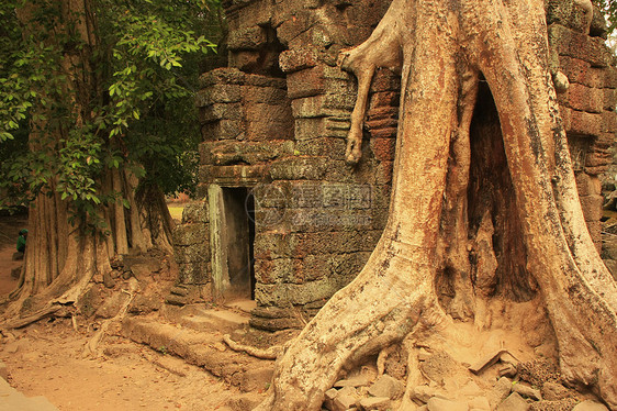 Preah Khan寺庙 吴哥地区 暹粒世界石头圣训热带植物古董地标遗产高棉语建筑图片