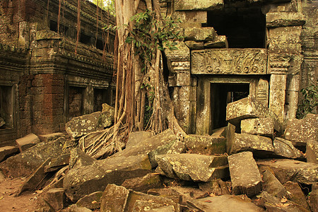 Tapromh寺庙 吴哥地区 暹粒历史性植物石头生长高棉语丛林地标建筑荒野世界图片