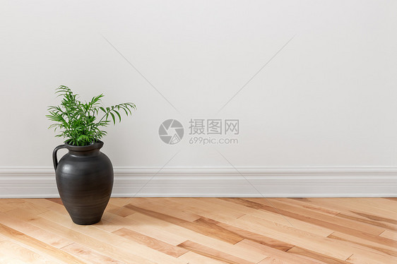 Amphora 绿色植物装饰一个房间图片