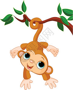 树上的小猴子宝宝棕色卡通片丛林插图野生动物夹子绘画热带哺乳动物玩具图片