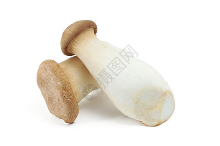 易食蘑菇食用菌毛果植物健康饮食工作室棕色蔬菜食物图片