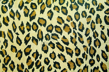 圆边外套织物异国皮肤皮革纺织品墙纸材料荒野动物园图片