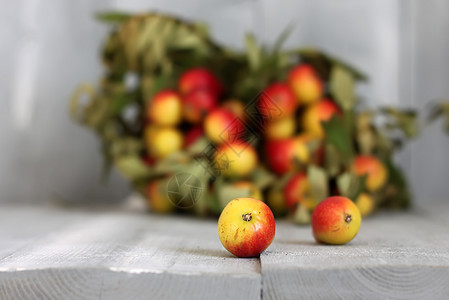 秋季水果照片季节叶子绿色乡村蔬菜黄色红色收成菜单图片