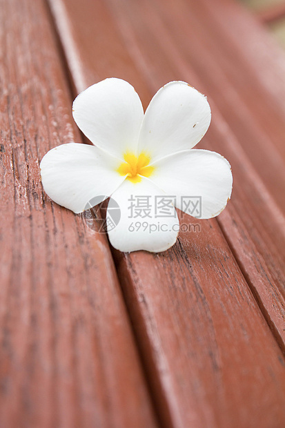 弗朗比帕尼木头美丽香水雌蕊树叶植物鸡蛋花金子桌子热带图片