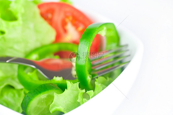 叉 菜 番茄 黄瓜和胡椒沙拉午餐白色绿色饮食食物盘子小吃红色草药图片