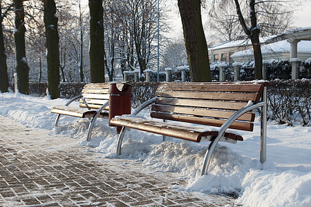 冬季公园城市小路长椅场景人行道季节白色图片