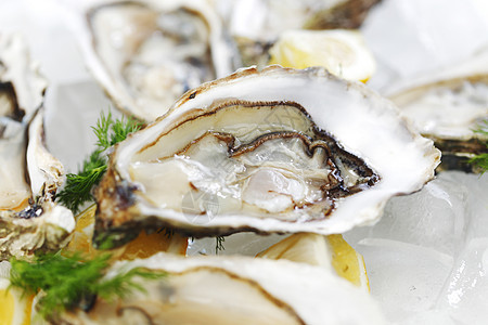 含柠檬和的牡蛎饮食餐厅海鲜美食贝类食物熟食壳类奢华盘子图片