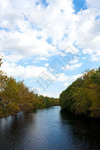 农林顿河荒野森林旅行风景假期树木叶子反射天空图片