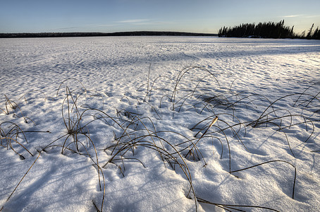 北部冷冻湖风暴芦苇草地池塘杂草森林寒冷降雪图片