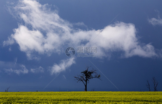 平原风暴云草原天气雷雨天空危险戏剧性风景图片