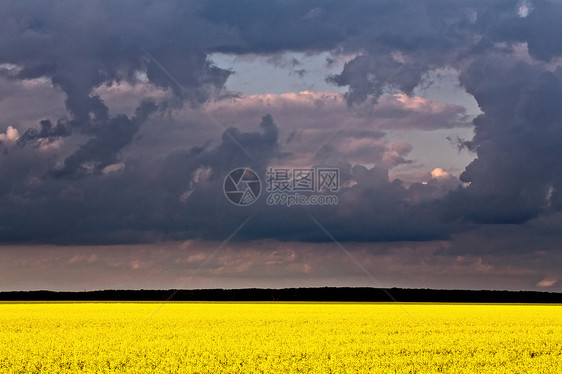 平原风暴云天空天气危险戏剧性风景草原雷雨图片