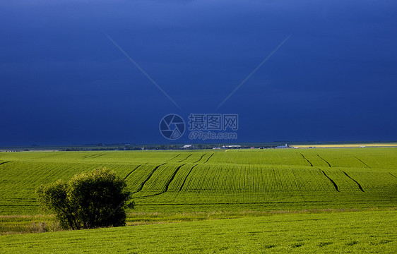 平原风暴云危险草原天气戏剧性天空风景雷雨图片