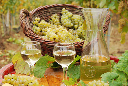 白酒和葡萄酒厂酒精棕色绿色乡村玻璃水果饮料酒杯静物图片