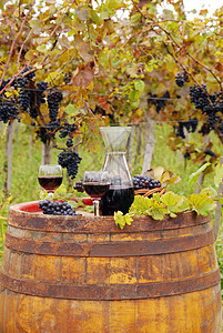 旧木木桶上的红葡萄酒图片
