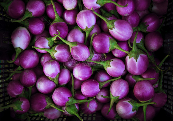紫茄子紫紫色王水果紫色植物蔬菜团体食物茄子图片