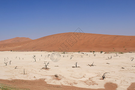 索苏夫莱在塞斯里附近的纳尼布沙漠中死去的山谷地貌公园死亡孤独旅游风景沙丘旅行纳米布单人山脊图片