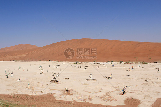 索苏夫莱在塞斯里附近的纳尼布沙漠中死去的山谷地貌公园死亡孤独旅游风景沙丘旅行纳米布单人山脊图片