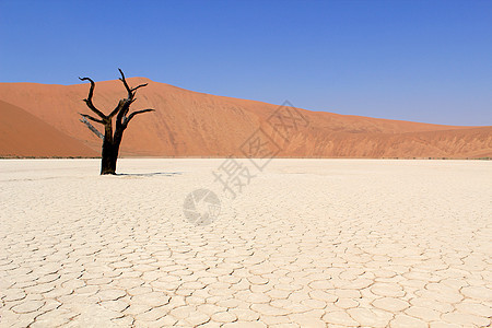 索苏夫莱在塞斯里附近的纳尼布沙漠中死去的山谷地貌蓝色公园沙丘山脊假期荒野死亡植物天空丘陵图片