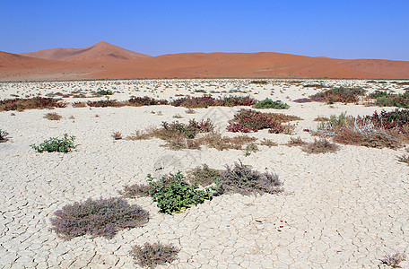 塞斯里姆附近纳尼布沙漠的索苏夫莱沙丘景观沙漠纳米布假期旅游死亡旅行孤独公园丘陵单人图片