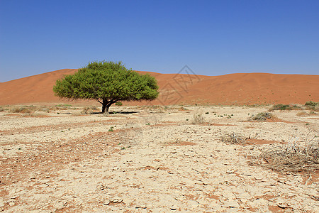塞斯里姆附近纳尼布沙漠的索苏夫莱沙丘景观干旱荒野旅游沙漠旅行死亡孤独国家航向沙丘图片
