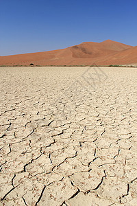 塞斯里姆附近纳尼布沙漠的索苏夫莱沙丘景观丘陵旅行纳米布孤独单人航向干旱纸牌荒野沙丘图片
