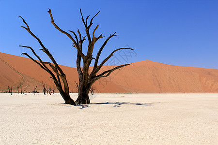 索苏夫莱在塞斯里附近的纳尼布沙漠中死去的山谷地貌纸牌公园荒野植物风景死亡假期丘陵山脊旅游图片