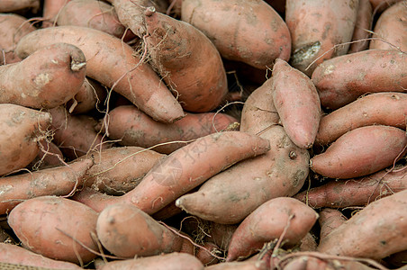 农场展示中的甜土豆营养块茎店铺烹饪杂货店生产淀粉蔬菜篮子维生素图片
