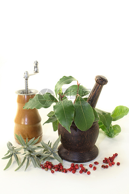 草药混合药材味道绿色香料树叶智者乡村香草植物厨房图片