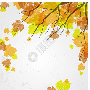 秋天的背景作品横幅网络天空卡片季节森林环境植物学插图图片