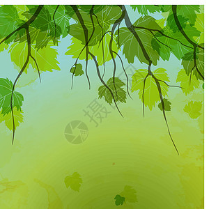 绿色新休假光束宏观生态花园环境太阳生长草地晴天季节图片