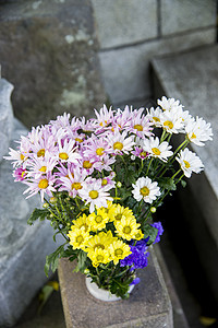 花瓶中的菊花花朵花瓣礼物婚礼植物群窗户蓝色桌子植物乡村图片