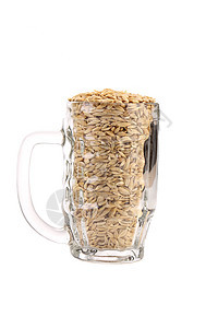 大麦啤酒杯谷物生产植被酿造采摘啤酒叶子啤酒厂植物小穗图片