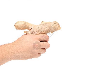 握着姜根的手香料植物草本植物白色药品美食营养香气图片