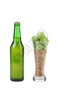 瓶装啤酒和啤酒植物草本植物麦芽植被玻璃苦味酒精味道香气谷物图片