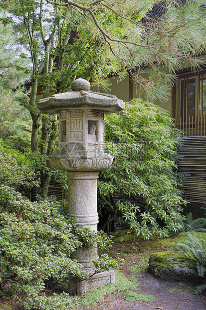 花园景观中的日本石绿灯侠树叶竹子灌木院子绿色树木季节岩石蕨类石头图片