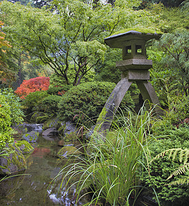 由水流组成的日本石灯侠蕨类雕塑溪流灌木季节花园绿化花岗岩反射沼泽图片