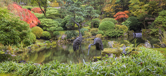 日本铜鹤雕像 由庞德制作蕨类雕塑起重机全景岩石瀑布沼泽池塘风景反射图片
