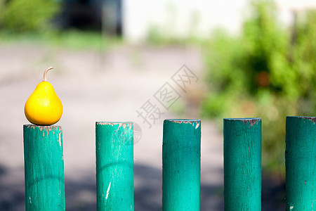 绿木栅栏上的梨子图片