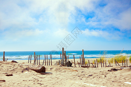 桑迪海岸线 沙丘和草边 栅栏图片