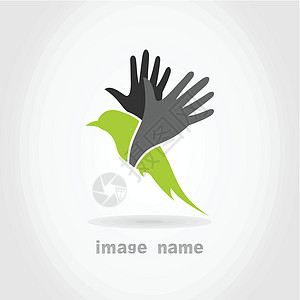 鸟类4飞行苍鹭装饰品艺术羽毛卡通片插图翅膀橡皮动物群图片